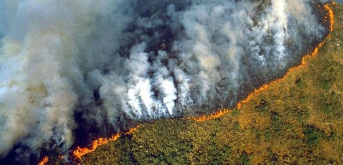 Πυρκαγιές στον Αμαζόνιο: Σάλος με τους ισχυρισμούς Μπολσονάρου ότι ίσως ανάβουν τις φωτιές οι... ΜΚΟ! (Video) - Media