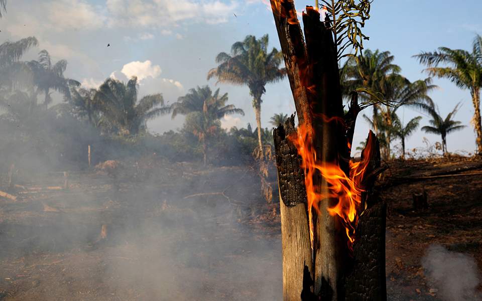 Έγκλημα: Στα ύψη εκτινάχθηκε η αποψίλωση του δάσους του Αμαζονίου τον Απρίλιο (Photo) - Media