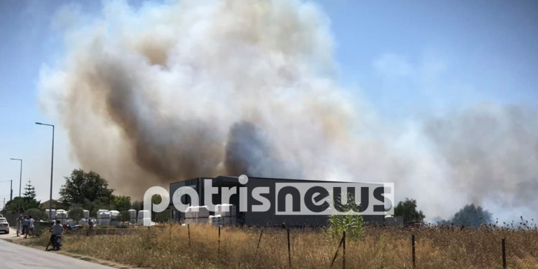 Φωτιά στην Ηλεία -Σε αγροτική έκταση στη Βάρδα - Media