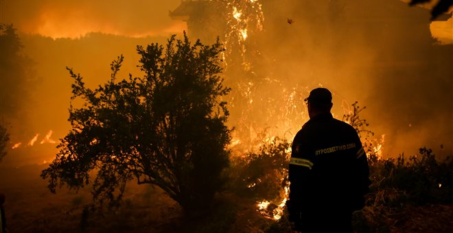 Φλέγεται δάσος στα Κύθηρα - Ενίσχυσε τις δυνάμεις της η Πυροσβεστική (Videos) - Media
