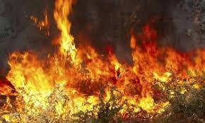 Εξήντα τρεις πυρκαγιές εκδηλώθηκαν το τελευταίο 24ωρο - Περιμένουν δυνάμεις στις Κεχριές - Media