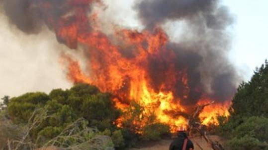 Κρήτη: Έσβησε η φωτιά στο Ρέθυμνο -Υπό έλεγχο η πυρκαγιά στην Ιεράπετρα - Media