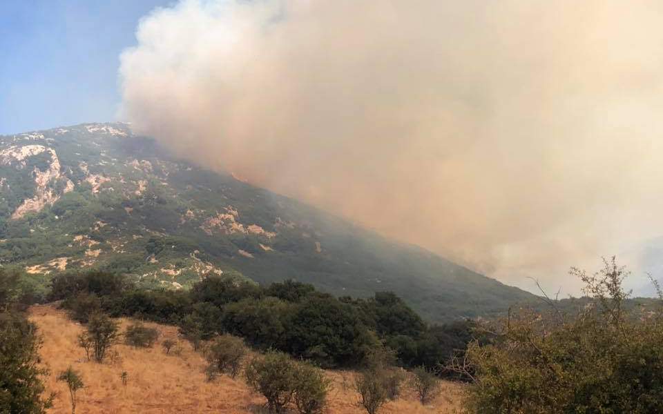 Φωτιά σε δύσβατη δασική περιοχή στα Καλάβρυτα - Στην περιοχή πνέουν ισχυροί άνεμοι - Media