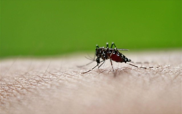 Ιός Δυτ. Νείλου: Στοχευμένο πρόγραμμα καταπολέμησης των κουνουπιών ζητεί ο ΙΣΑ - Media