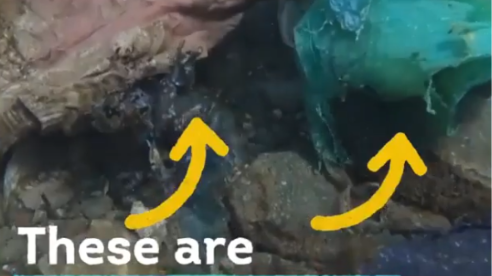 Η απάντηση του δημάρχου της Άνδρου στον Ντι Κάπριο: Κατέρρευσε χωματέρη στον βυθό - Media