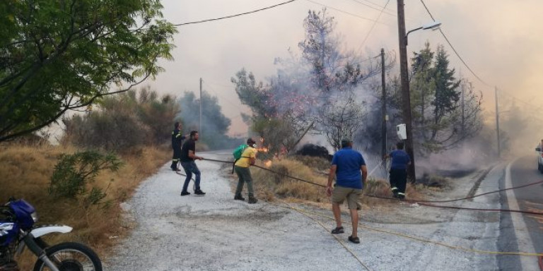 Υπό μερικό έλεγχο φωτιά στη Σάμο (Photos) - Media