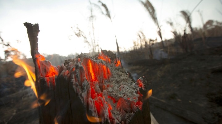 Αμαζόνιος: Οι φλόγες συνεχίζουν το καταστροφικό τους έργο - Media