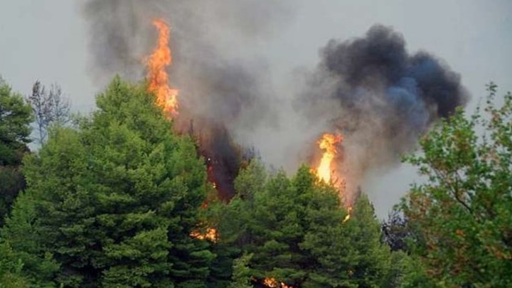 Πολύ υψηλός ο κίνδυνος πυρκαγιάς σε έξι περιφέρειες της Ελλάδας - Media
