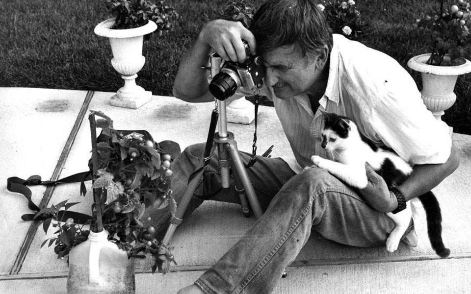 Walter Chandoha: Ο άνθρωπος που επί 70 χρόνια φωτογράφιζε γάτες (Video) - Media