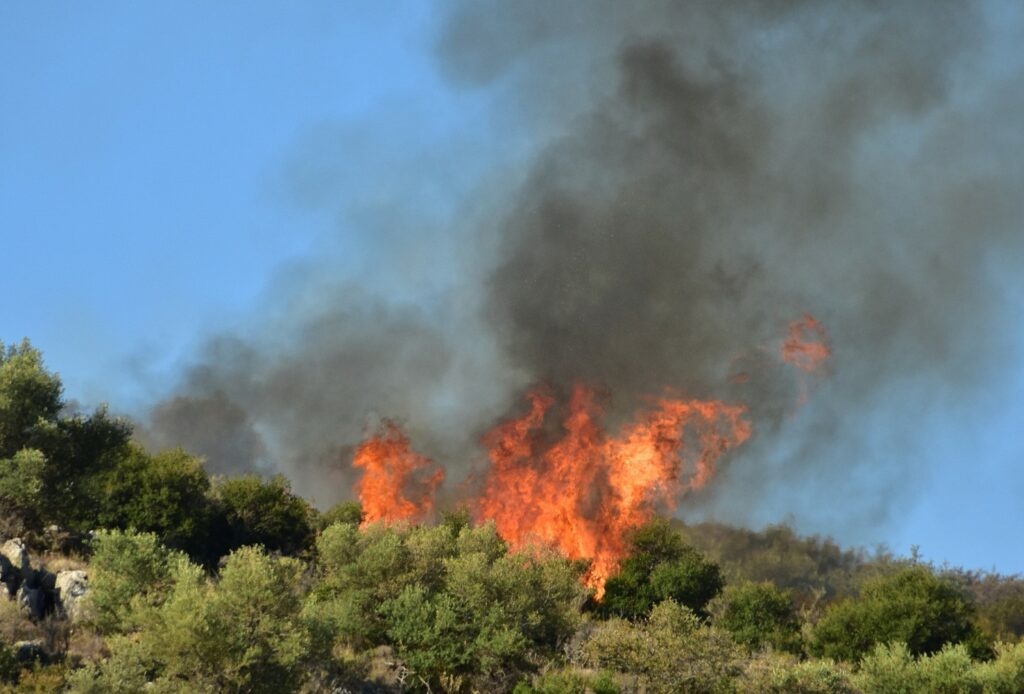 Κέρκυρα: Σε εξέλιξη φωτιά που ξέσπασε σε δασική περιοχή στους Καλαφατιώνες - Media