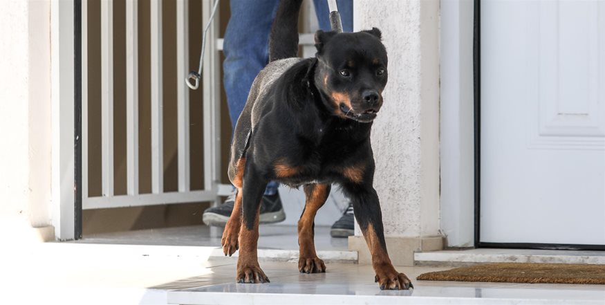 Τραγωδία στα Γλυκά Νερά: Τι έδειξε η νεκροψία για το άτυχο βρέφος - Media