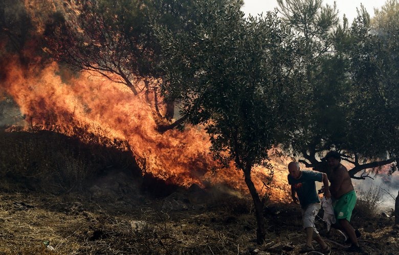 Υπό έλεγχο η πυρκαγιά στη Σιθωνία Χαλκιδικής - Σε εξέλιξη στο Γύθειο - Media
