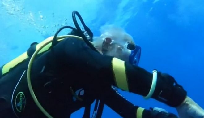 Γιόρτασε τα 96α γενέθλιά του με κατάδυση στα 42 μέτρα (Video) - Media