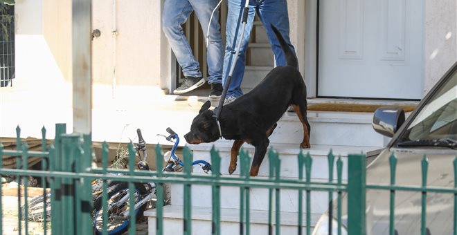 Ο πατέρας του βρέφους που τραυματίστηκε θανάσιμα από ροτβάιλερ: Δεν ήταν ποτέ επιθετικό με τα παιδιά μας - Media