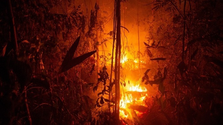 Πυρκαγιές στον Αμαζόνιο: 63 συλλήψεις και πρόστιμα 8,7 εκατ. δολ. ανακοίνωσε η Βραζιλία - Media