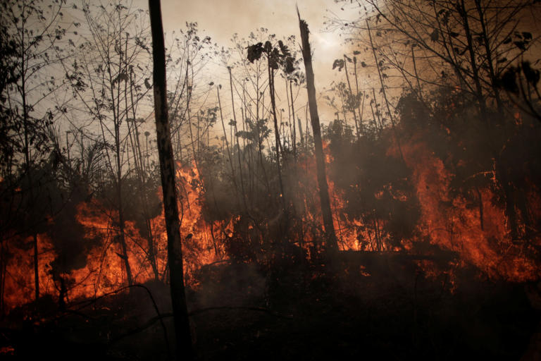 Δεν έχουν τέλος οι πυρκαγιές στον Αμαζόνιο: Συνεχίζουν να αυξάνονται τα μέτωπα της φωτιάς  - Media
