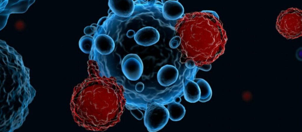 Αυτό είναι το λουλούδι που μπορεί να νικήσει τον καρκίνο - Media