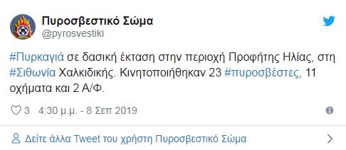 Ζήνα: Αυτό είναι το μοναδικό ελληνικό γεράκι που καταρρίπτει τα… ανεπιθύμητα drones (Video) - Media