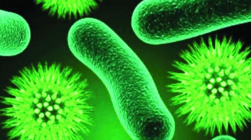 Έξαρση του «σούπερ βακτηρίου» NDM-1: Σε ποια περιοχή αυξήθηκαν δραματικά τα κρούσματα μόλυνσης - Media