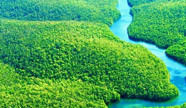 Σύμφωνο προστασίας του Αμαζονίου από επτά χώρες της Λατινικής Αμερικής - Δεν προσκλήθηκε η Βενεζουέλα - Media