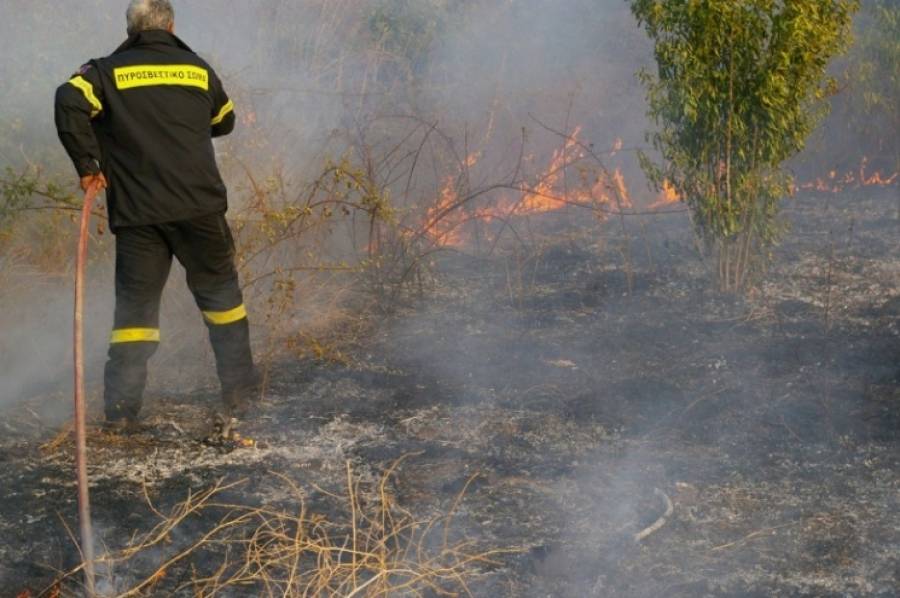 Από άνδρα που προσπάθησε να κάψει ξερά χόρτα η φωτιά στο Πανόραμα Θεσσαλονίκης - Media