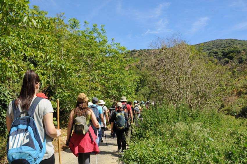Πρόσκοποι χάθηκαν σε φαράγγι στην Κρήτη - Τους βοήθησε η πυροσβεστική - Media