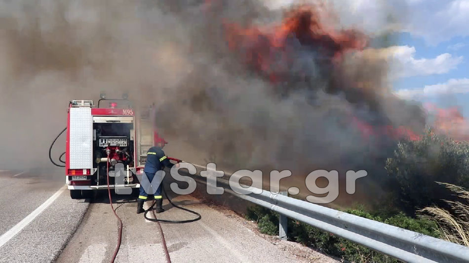 Πυρκαγιά στο Δομοκό - Διακοπή της κυκλοφορίας (Photos-Video) - Media