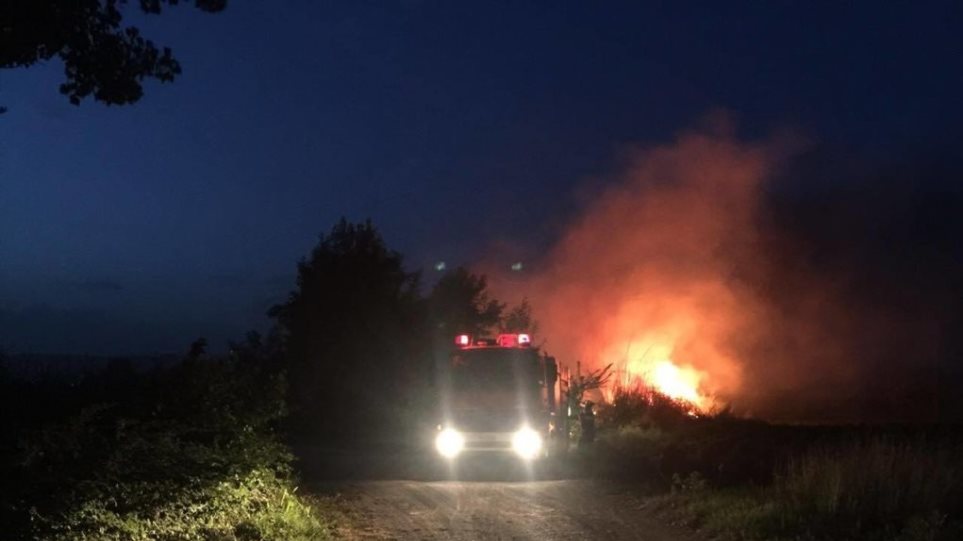 Δασική πυρκαγιά στα Βασιλικά Κέρκυρας - Media