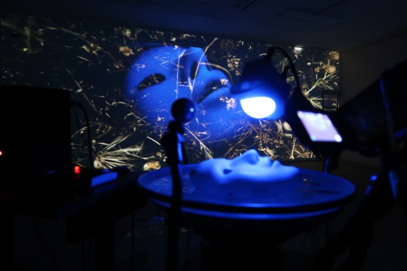 Παράξενες Ιστορίες - Violet Louise - Media