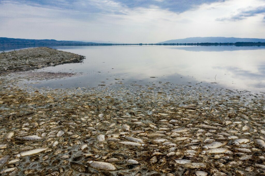 Πεθαίνει η λίμνη Κορώνεια - Εικόνες ολικής καταστροφής (Photos) - Media