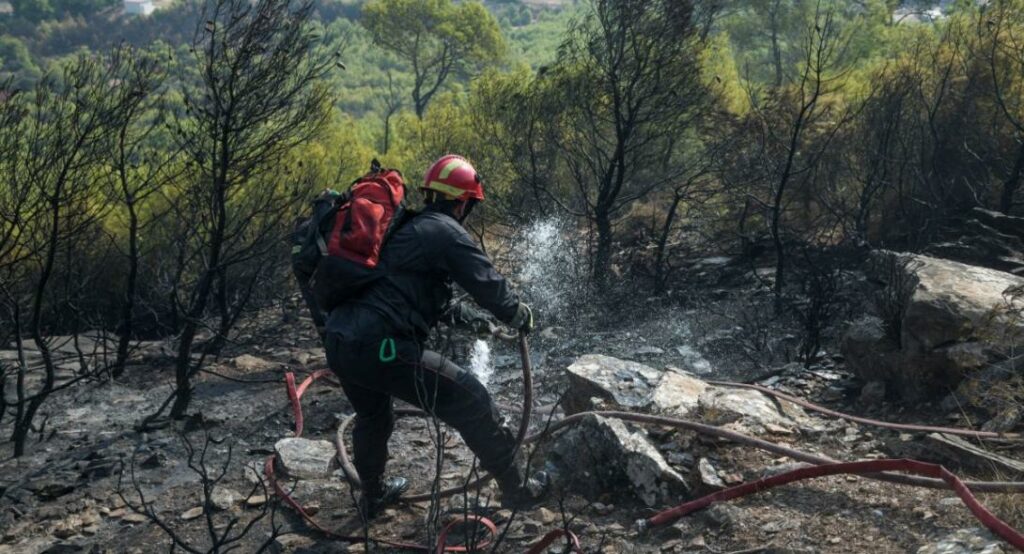 Η ΕΛΑΣ σκιαγράφησε το προφίλ του εμπρηστή της Νέας Μάκρης - Media