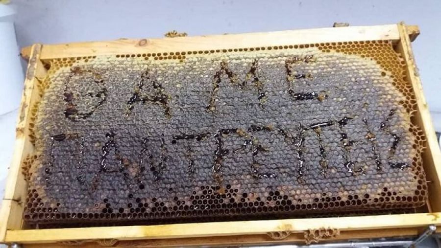 Σέρρες: Της έκανε πρόταση γάμου από…μέλι! (Photo) - Media