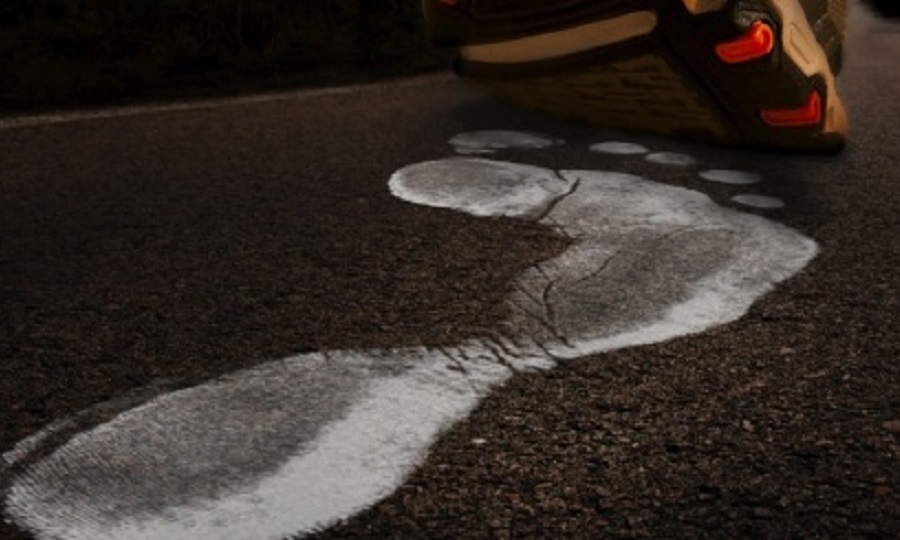 Αυτό είναι το σωτήριο τεστ της «βρεγμένης πατούσας» - Γιατί είναι απαραίτητο, πως μπορείτε να το κάνετε στο σπίτι σας (Photo) - Media