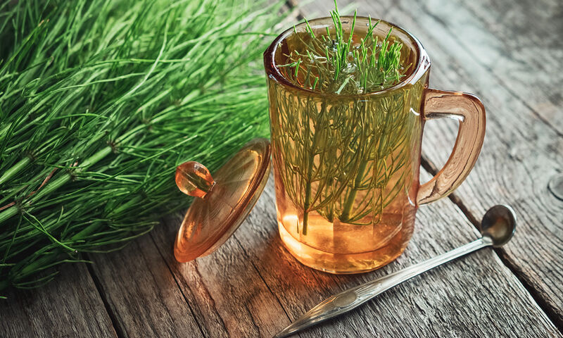 Το βότανο με την αντιφλεγμονώδη, αντιμικροβιακή και διουρητική δράση - Media