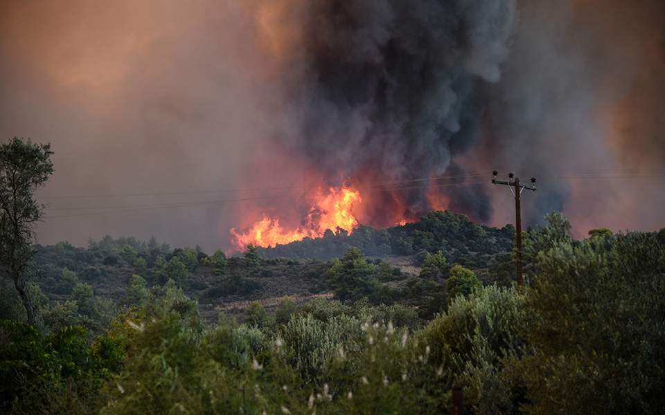 Ζάκυνθος: Πυρκαγιά στο χωριό Αγαλάς - Media
