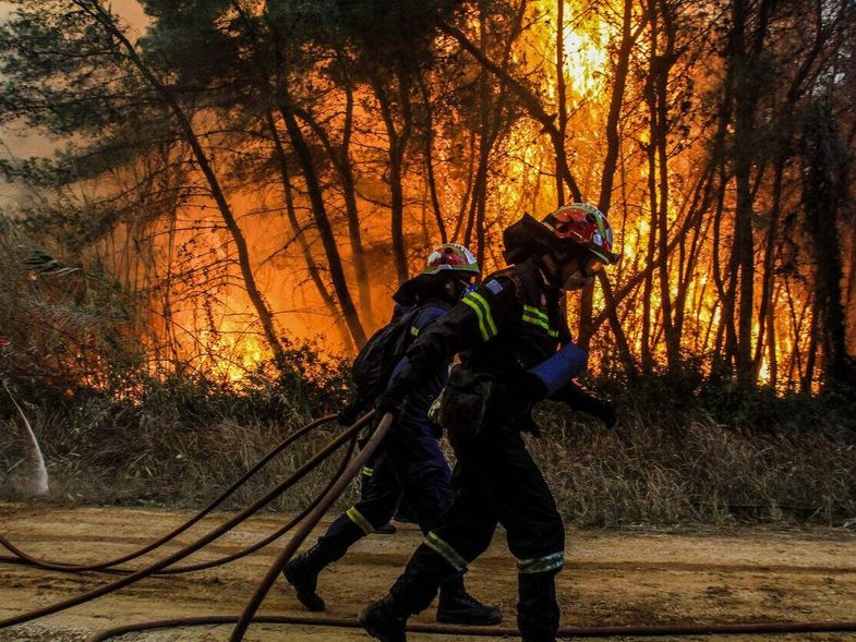 Λαμπάδιασε πεύκο από κεραυνό προκαλώντας φωτιά στο προστατευόμενο δάσος Στροφυλιάς - Media