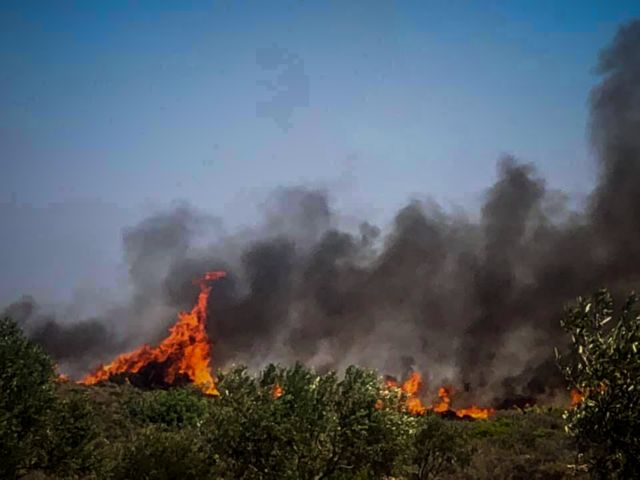 Φωτιά στην Κέρκυρα απείλησε σπίτια - Αστραπιαία αντίδραση της Πυροσβεστικής - Media