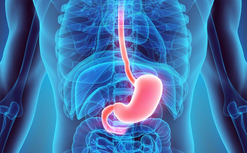 Καρκίνος του στομάχου: Οι πιο σοβαροί παράγοντες κινδύνου - Media