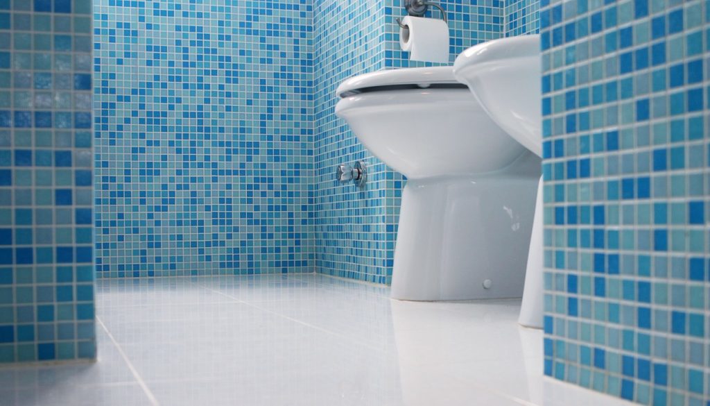 Γαλλία: 83χρονη εγκλωβίστηκε για έξι ημέρες στην... τουαλέτα της - Media