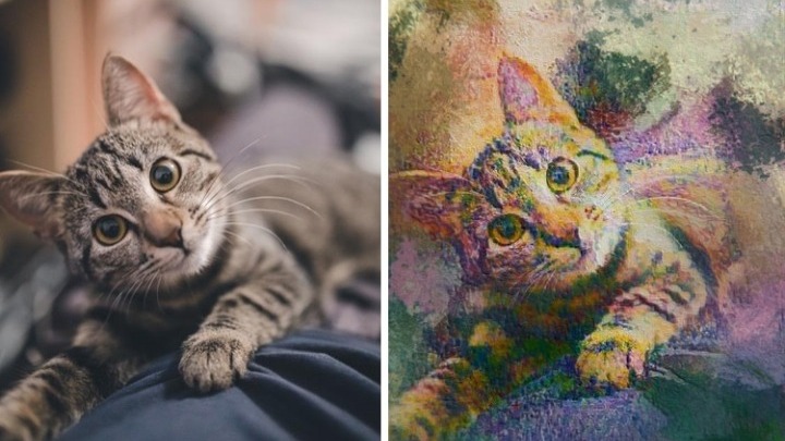Πορτρέτα των κατοικίδιων σας ως πίνακες ζωγραφικής - Media