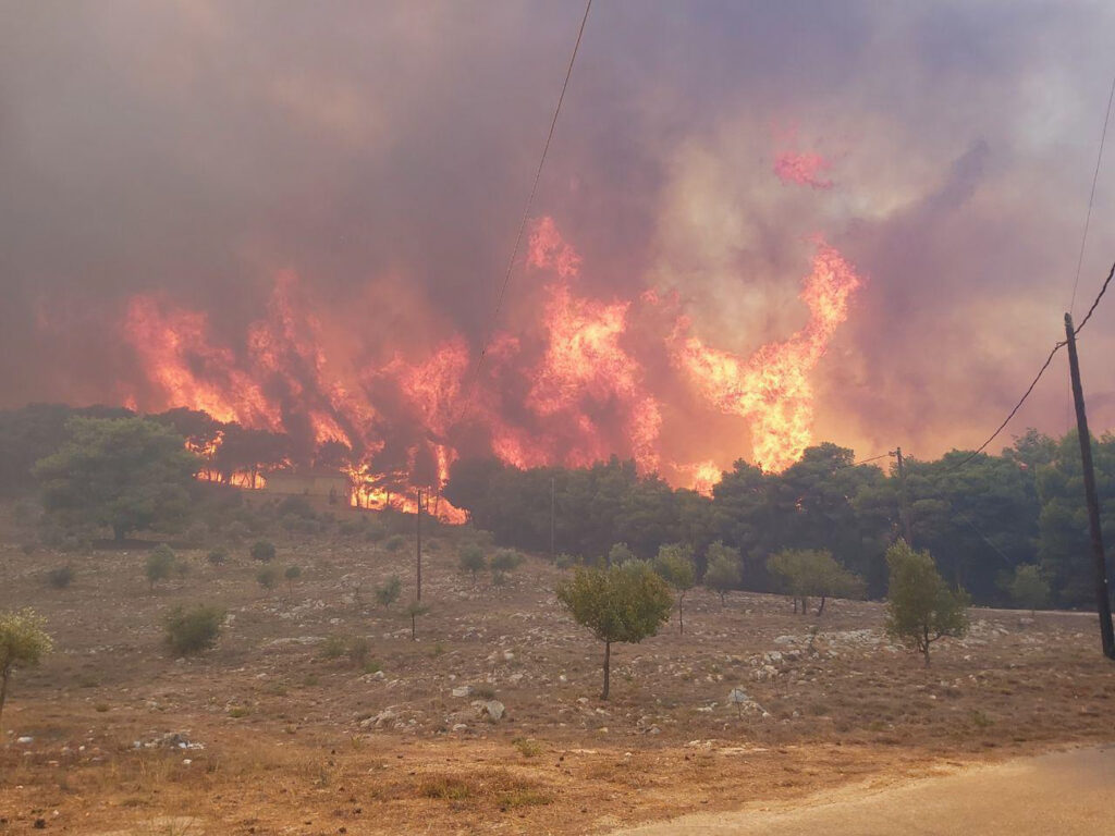 Δήμαρχος Ζακύνθου: Καταστροφική η καθυστέρηση των εναέριων μέσων (Video) - Media