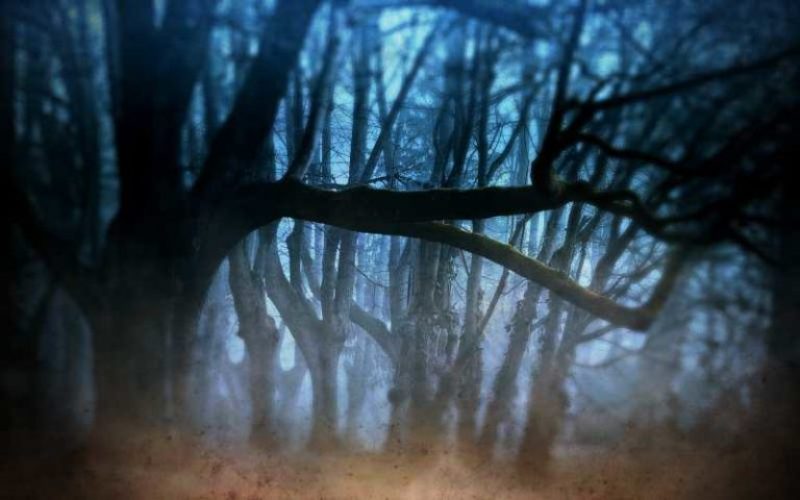 Η στοιχειωμένη πλατάνα της Χαλκίδας και ο φόνος του Μιαούλη (Photos) - Media