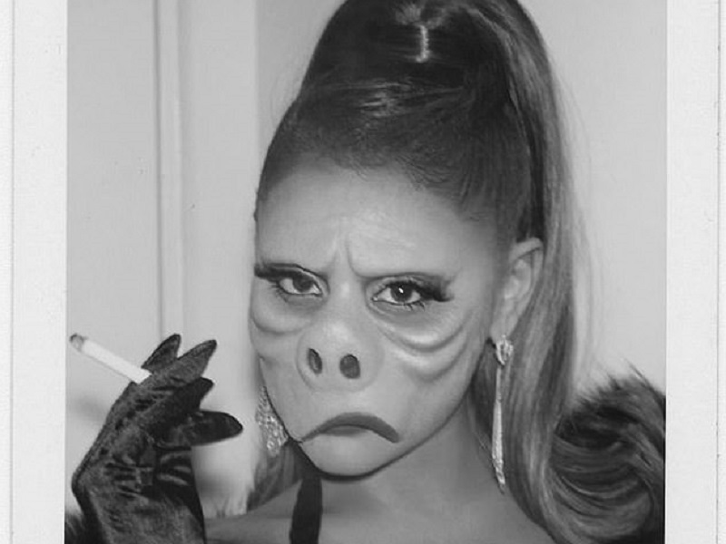 «Γουρούνι» ντύθηκε η Ariana Grande (Photos | Video) - Media