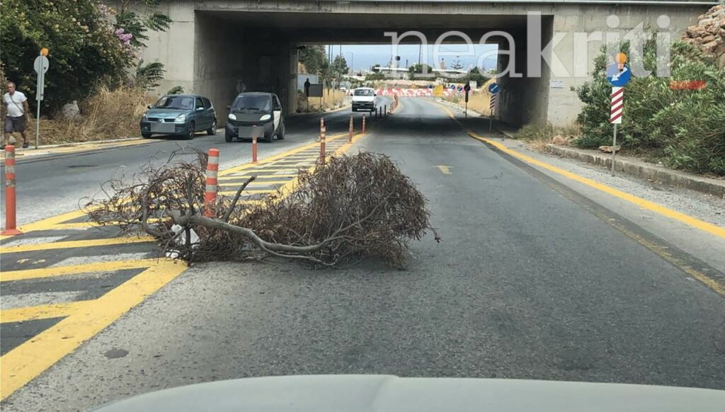 Ισχυροί νοτιάδες στην Κρήτη παρασέρνουν τα πάντα στο πέρασμά τους (Photos) - Media