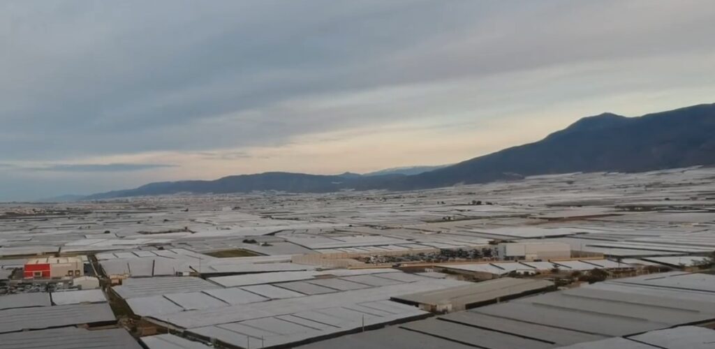 Αλμέρια: Εκεί που 100.000 μετανάστες εργάτες δουλεύουν και πεθαίνουν στα θερμοκήπια, κοιμούνται σε καταυλισμούς (Video)  - Media