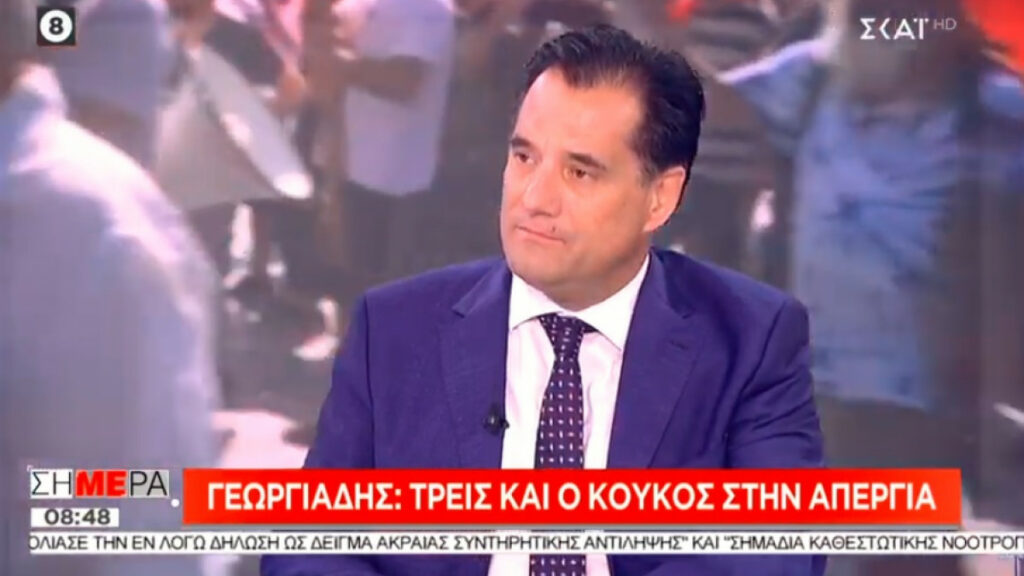 Γεωργιάδης: Πολύ επώδυνη για τους επαγγελματικές συνδικαλιστές η e-ψηφοφορία   - Media