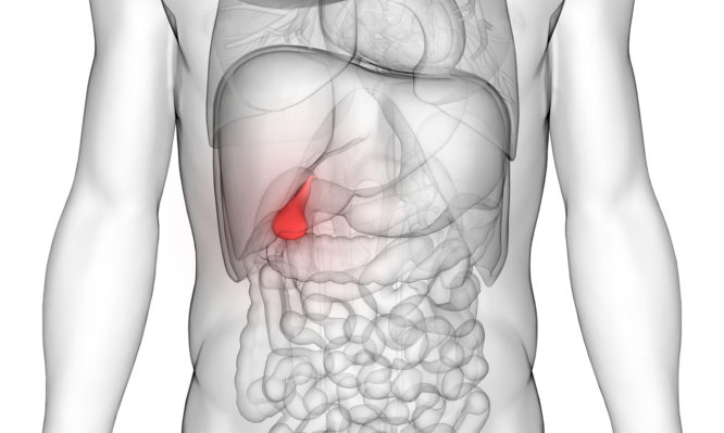 Πέτρες στην χολή: Ποια τα πρώτα συμπτώματα - Πώς να προφυλαχθείτε - Media