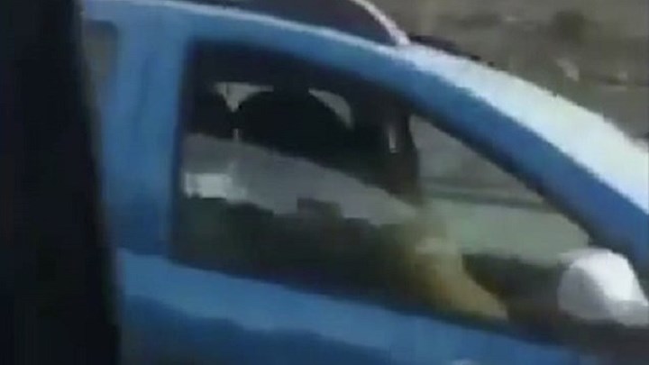 Ζευγάρι έκανε σεξ σε αυτοκίνητο εν κινήσει - Ποια ποινή του επιβλήθηκε (Video) - Media