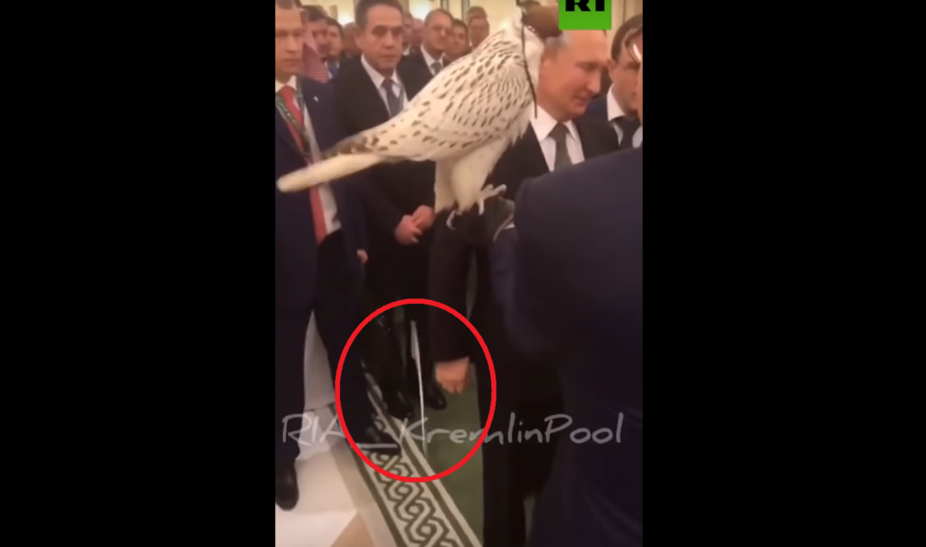 Ο Πούτιν κάνει δώρο στον Σαουδάραβα βασιλιά ένα γεράκι και αυτό αμέσως του κουτσουλάει το αστραφτερό παλάτι (Video) - Media