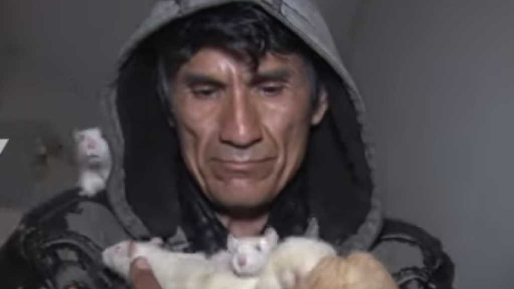 Ο Περουβιανός που έχει ως κατοικίδια χιλιάδες αρουραίους (Video) - Media